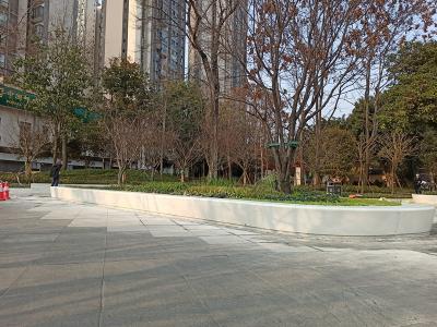 水碾河樹(shù)池